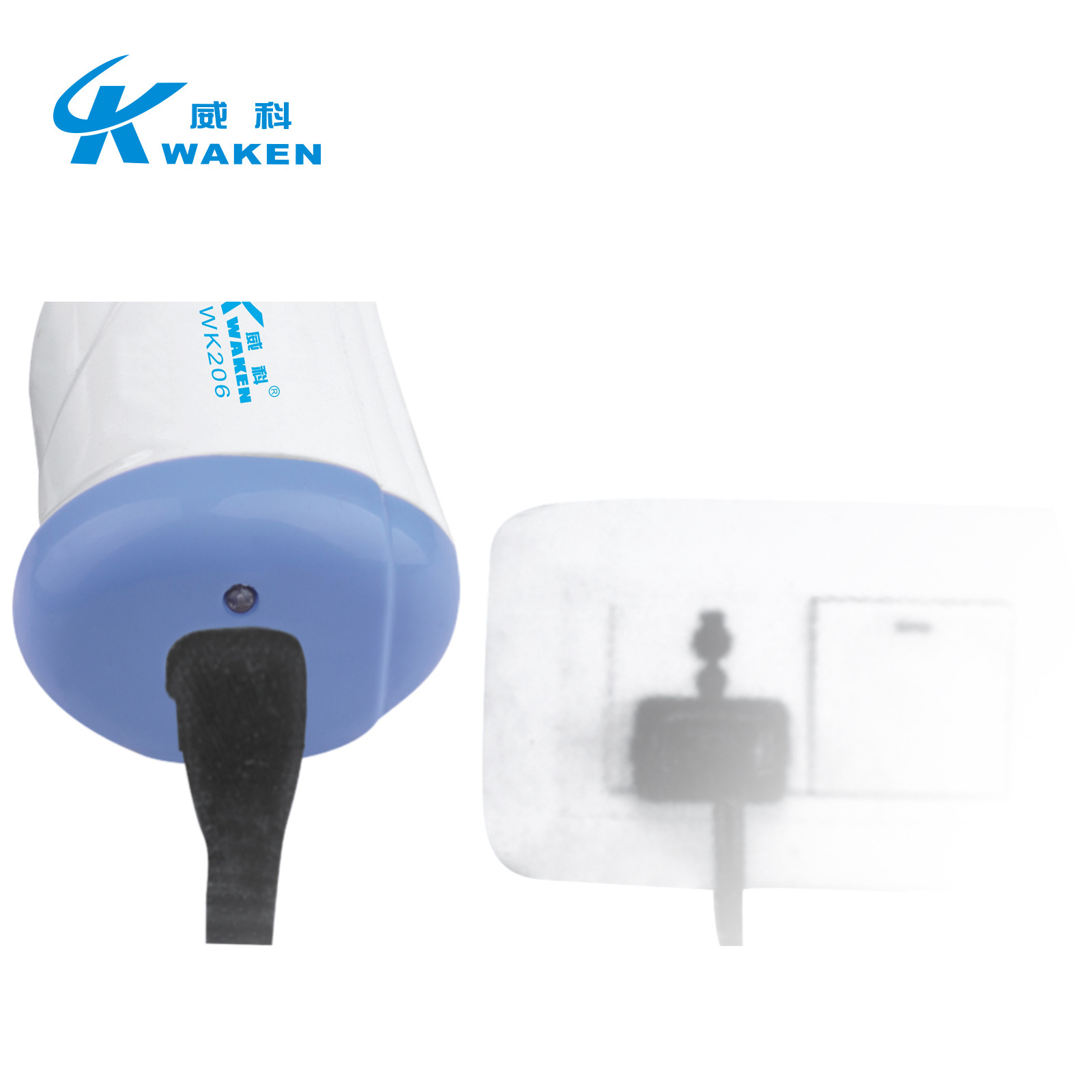 14443107425_63381578