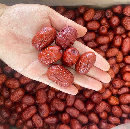 Xinjiang Jujube New Arrival Bulk Unwashed Ruoqiang Jujube 500g Kernel Small, Meat Thick Xinjiang Jujube Directly Supplied by Manufacturer Year