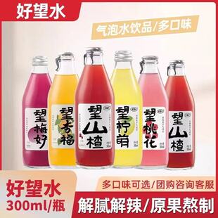 ����ˮ��ɽ��Ӹ�÷�Ù����һ�300ml*5ƿ�M�Ϲ�֭�����Ʒ