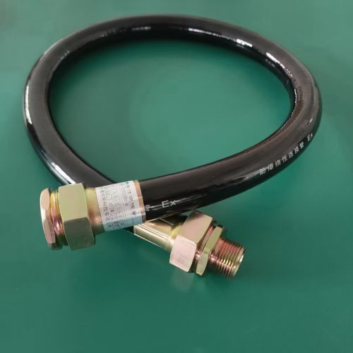 批发防爆软管标准长度是多少导线管LCNG-20-500摄像头连接管