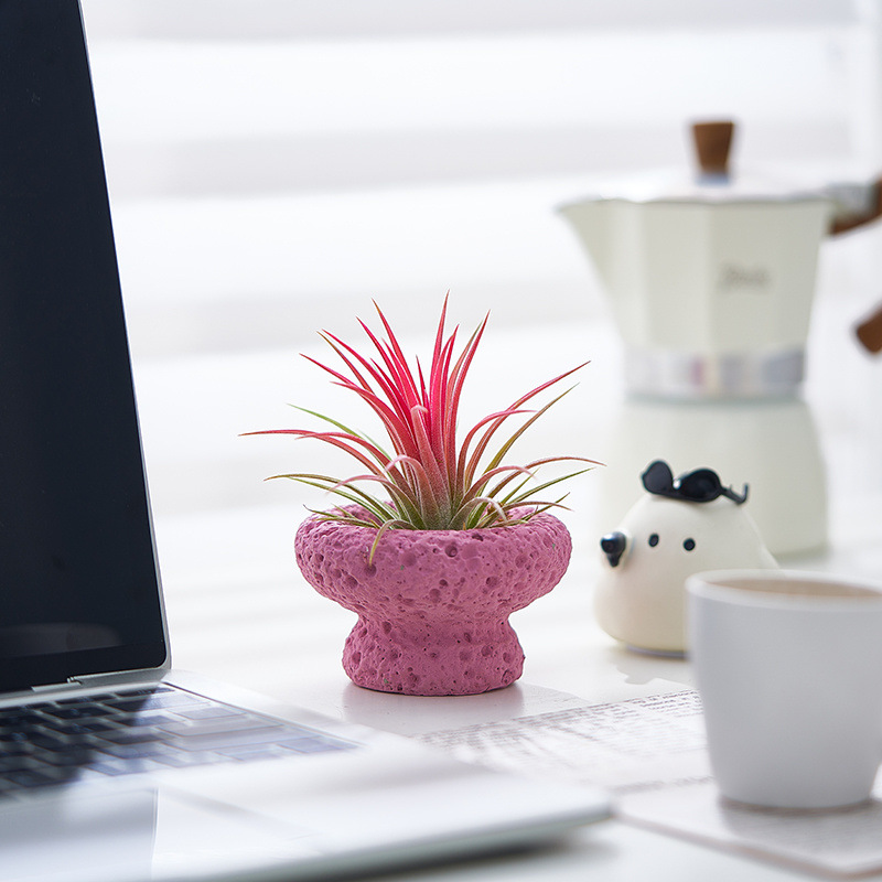 29183862-f995-437a-9c08-a2c47f1a62f5.jpe