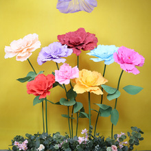 �¿�PEĵ����Ӱ�����Ռ�����߻�c��̨�bY��·����������