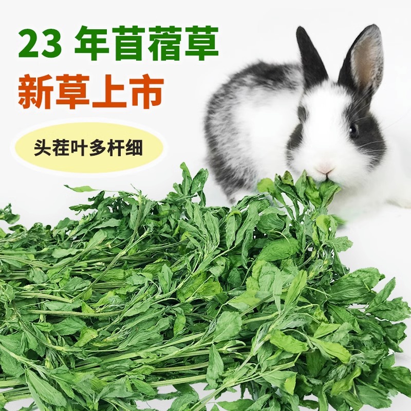 23年苜蓿草批发苜蓿草幼兔粮牧草兔饲料食物磨牙龙猫粮食干草牧草