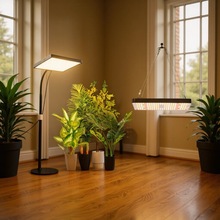 LEDӰLEDֲLȫVGֲˮa