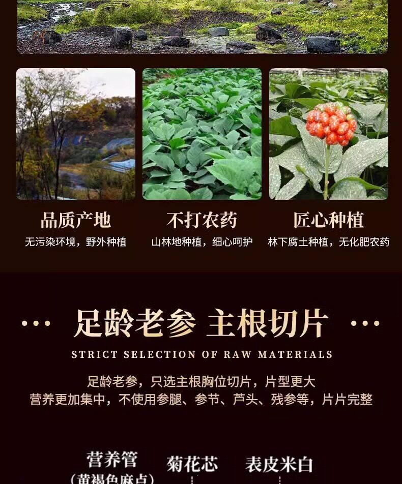 American Ginseng Dried Slices Xi Yang Shen Bulk Jar 100g for Tea and Cooking specifications