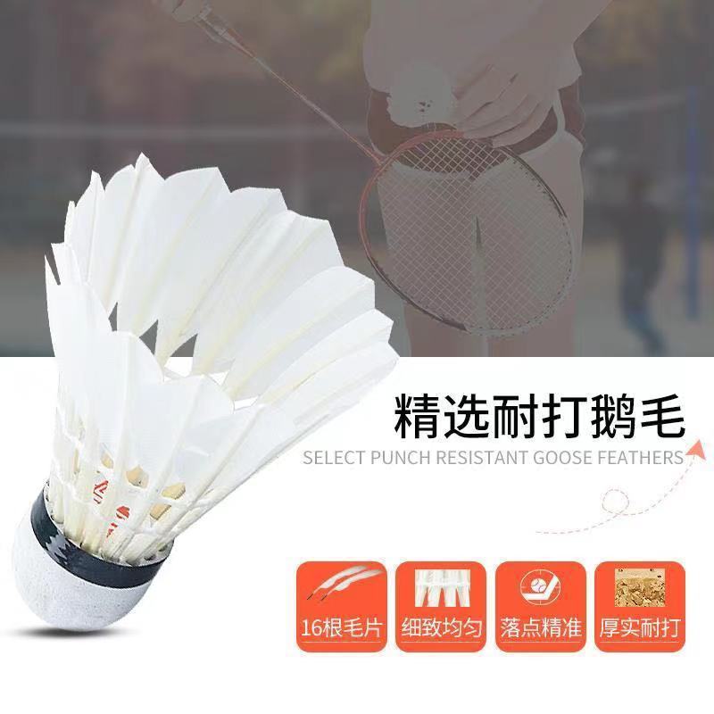 fa29f914-b774-4058-8462-f36a7f42ed2c.jpe