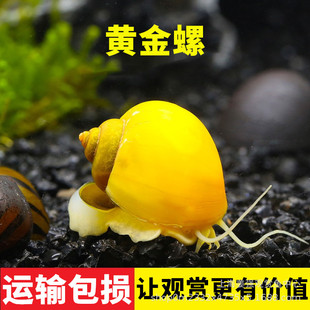�^�p��ˮ�匙���S���ݻ��w�~�ݸ��坍�^�p��ˮ��������幤����