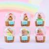 JC8W009 Accompanying Dolphin Crystal Ball Blind Basic Box Random