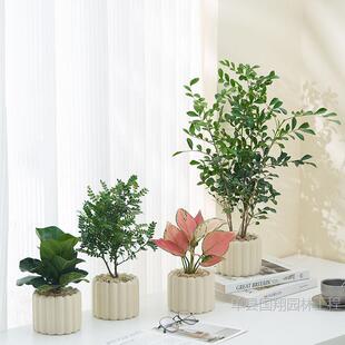 Office Desktop Indoor Green Plant Small Potted Cream Wind Ornaments Indoor Absorb Formaldehyde Purify Air Good for Four Seasons