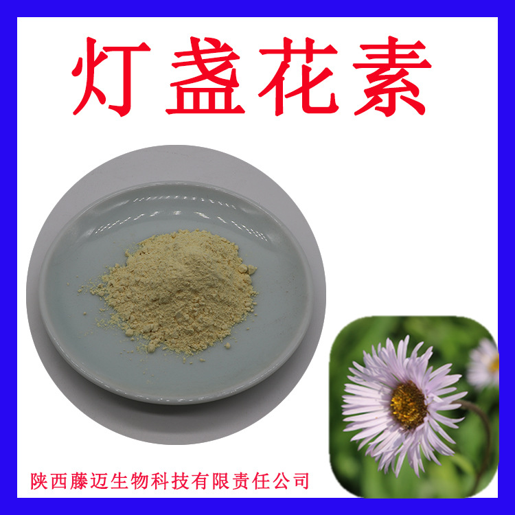 灯盏花素98%一件代发灯盏乙素现货供应116122-36-2灯盏花提取物