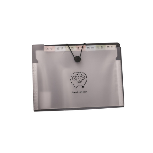 Customized a4 transparent folder large capacity student information test paper storage bag plastic multi-layer classified accordion bag
