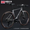 Knight gray brown tire straight handlebar