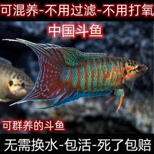 �Ї����~���~�ղ�����{���B�ͻ�С�͟Ꭷ�^�p�~�ɻ��B�Ꭷ�����~