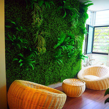 VݾG_Slֲϼٲƺ̨҃ڒGֲ