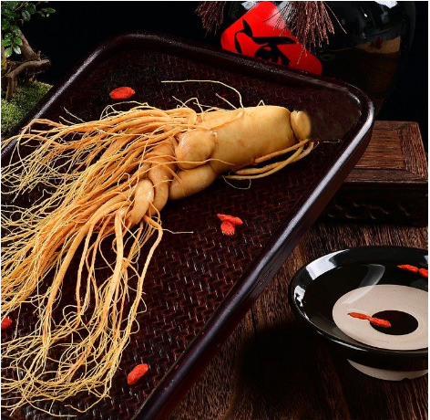 Fresh Changbai Mountain Ginseng Ren Shen Whole Root for Wine Infusion and Soup Making Gift Box details
