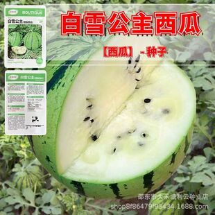 ��ѩ����ѩ�����ϷN����ɫ�YƷ�������ϷN�ѻ�Ƥ�S�����ǳ�������