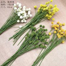 仿真花冬青果浆果山归来相思豆发财果红豆板栗果珍珠粒婚庆装饰