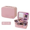 Two-color handheld cartoon cosmetic bag for traveling, small set, internet celebrity