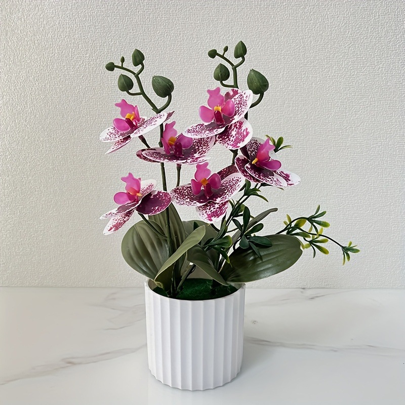 점박이 보라색 (높이 28*폭 18CM)