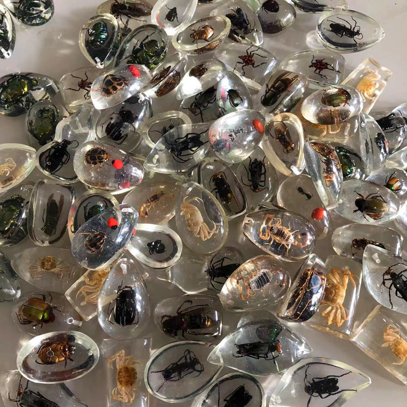 儿童挖掘考古昆虫标本 合成树脂琥珀昆虫 散装水滴盲盒标本现货|undefined