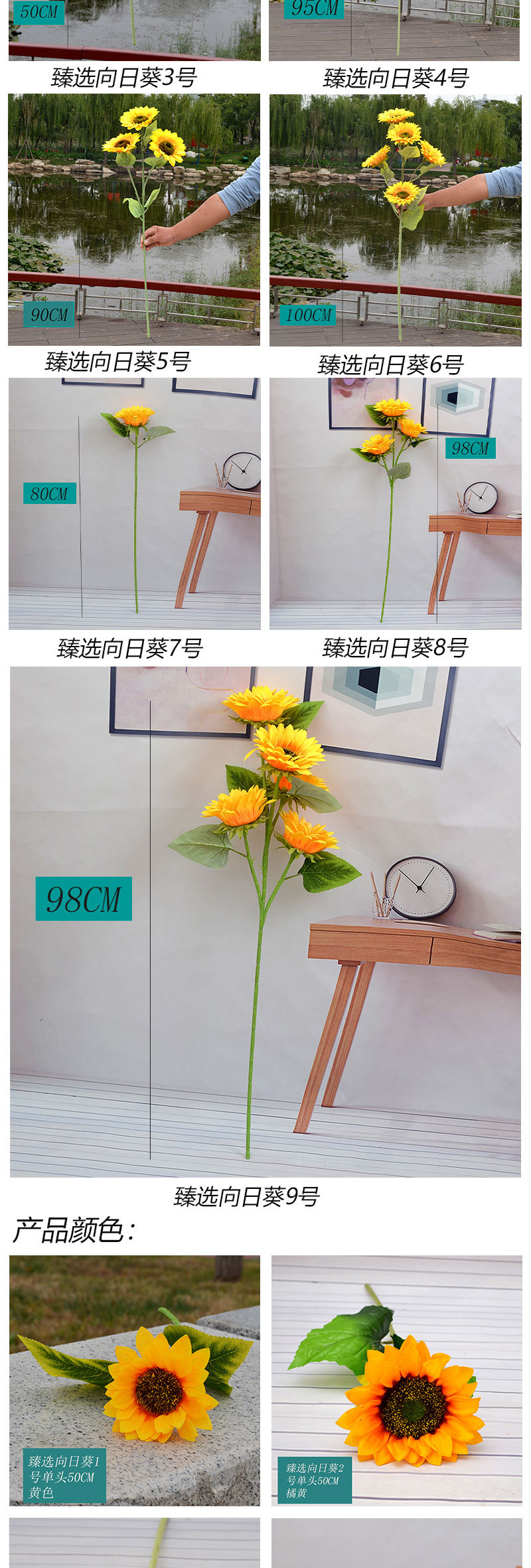 臻选向日葵_02.jpg