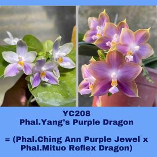 ����Ȥζ�����m������Ȥζ�����m·�·��������m������ԭ��������