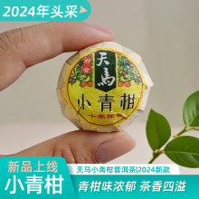 广东特产2024新会小青柑厂家批发天马小青柑陈皮普洱桔普茶散装