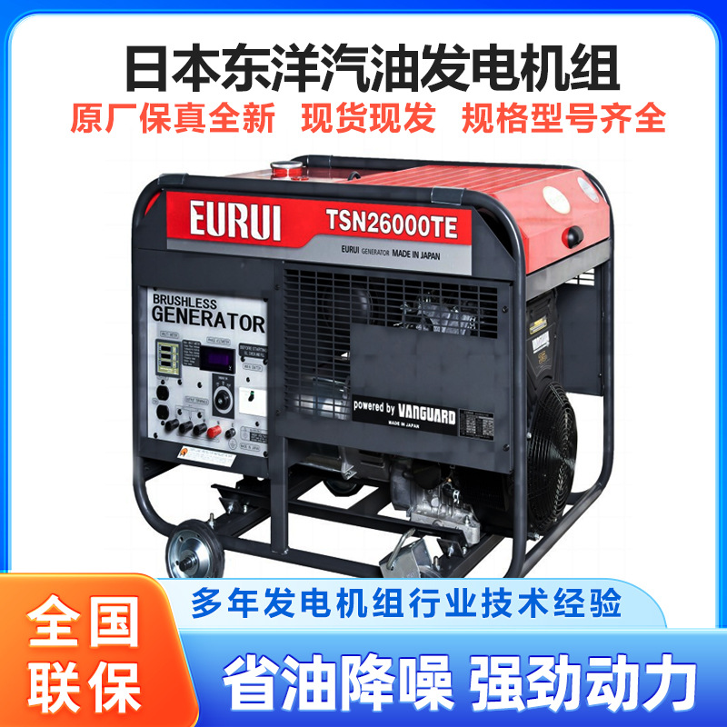 日本东洋TSN系列汽油发电机 单双相户外露营可移便携动汽油发电机