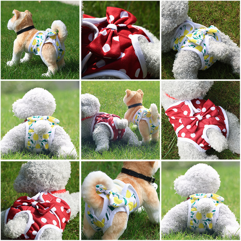 Pantalones Sanitarios Menstruales para Perras, Anti-Agresión y Seguros para Teddy, Pañales Reutilizables para el Período - Suministros para Mascotas