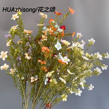 �¿���滨СҰ����c��Y���������b��ļٻ��͏d�[�O�Ҿ�