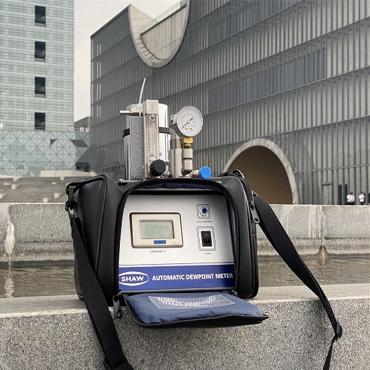 英国原装进口SHAW便携式露点仪SADP在测量天然气的含水量