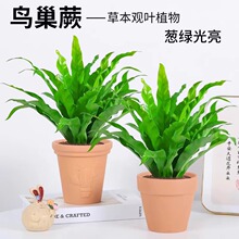һ�����l�B��ާ����ާ��҃��^�~�Gֲ���ܿ͏d�k��˾��������ֲ��