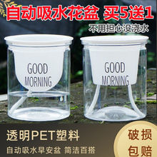 ����ˮ��͸�������Ԅ���ˮ�簲��G�}���W���s���m�Gֲ���⻨��