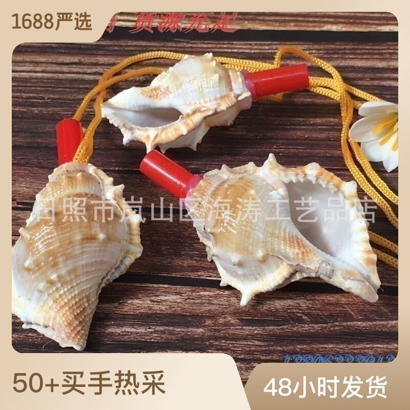 Conch whistle sea cucumber conch factory wholesale small snail stall supply conch Small Snail number