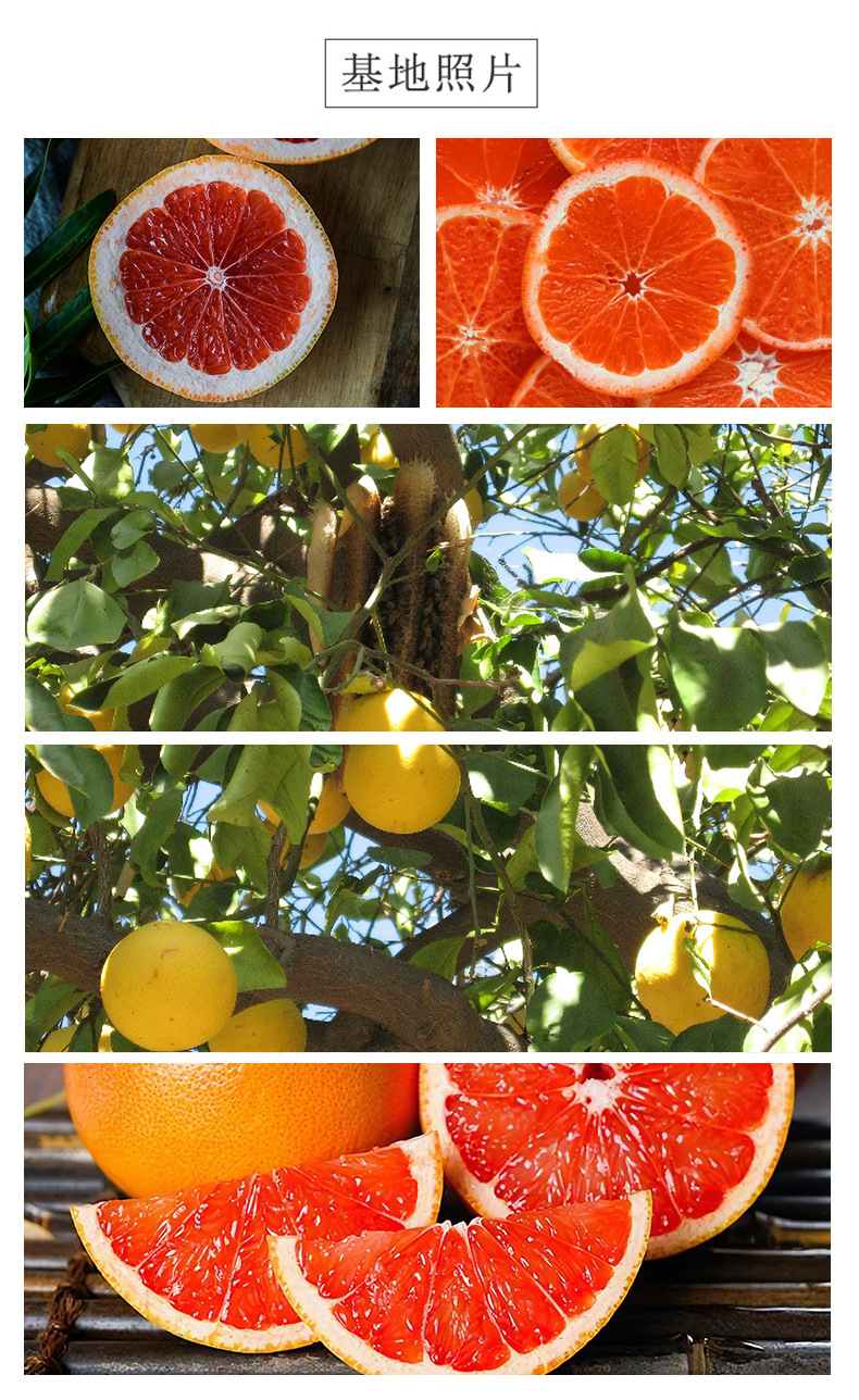 Dried Grapefruit Slices Xi You Bulk Herbal Fruit Tea 500g Low-Temperature Dried Unsweetened quality and texture