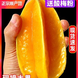 �������������5��ˮ���������������r�����r�t���P����������