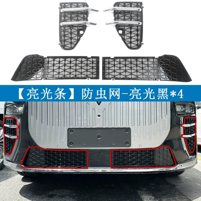 Automobile anti-insect net | protection net, special modification - 26-units-of-taishan-x8-one-set-with-glossy-black-paint6
