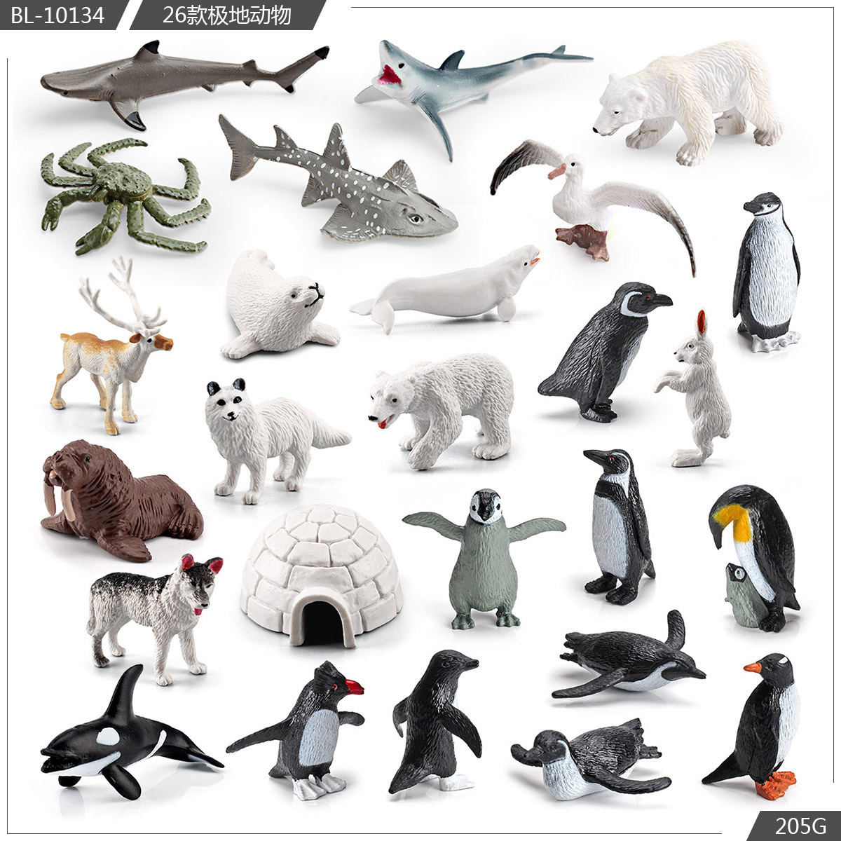 Exportación transfronteriza simulación modelo de animales polares mini animales de invierno ártico beluga morsa cognición educación temprana decoración