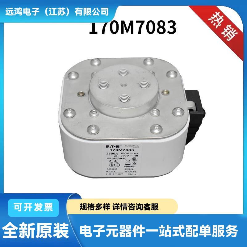 170H1007 170H1013 170H0069 170H3006熔断器底座 快速熔断器