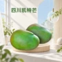 四川新鲜青皮水果