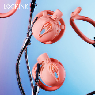 lockink�_���_���Â���3D�۵�ؑ���i��ꎲ�������o�i������Ȥ��