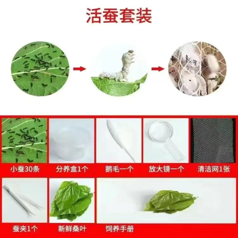 과학적인 사육 활가재 패키지