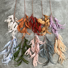 Gֲ3~Y·픲廨Pɺ~羳bGֲ