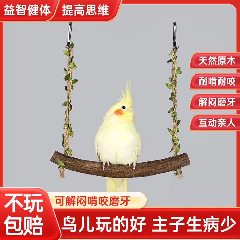 [스틱 2개가 더 가성비 좋음] 반려동물을 위한 핫모델