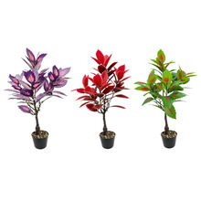 ������~��ֲ���߲����ļ��^�~����K�������҃���ݱ������͟�