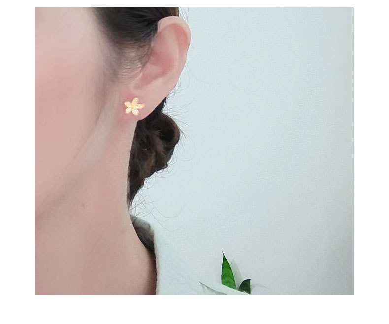 Daily Occasion 1 Pair 18K Gold Plated 925 Sterling Silver Zircon 925 Sterling Silver Earrings Flower Ear Studs