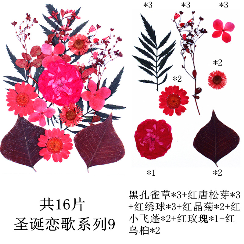 크리스마스 사랑 노래 시리즈 9