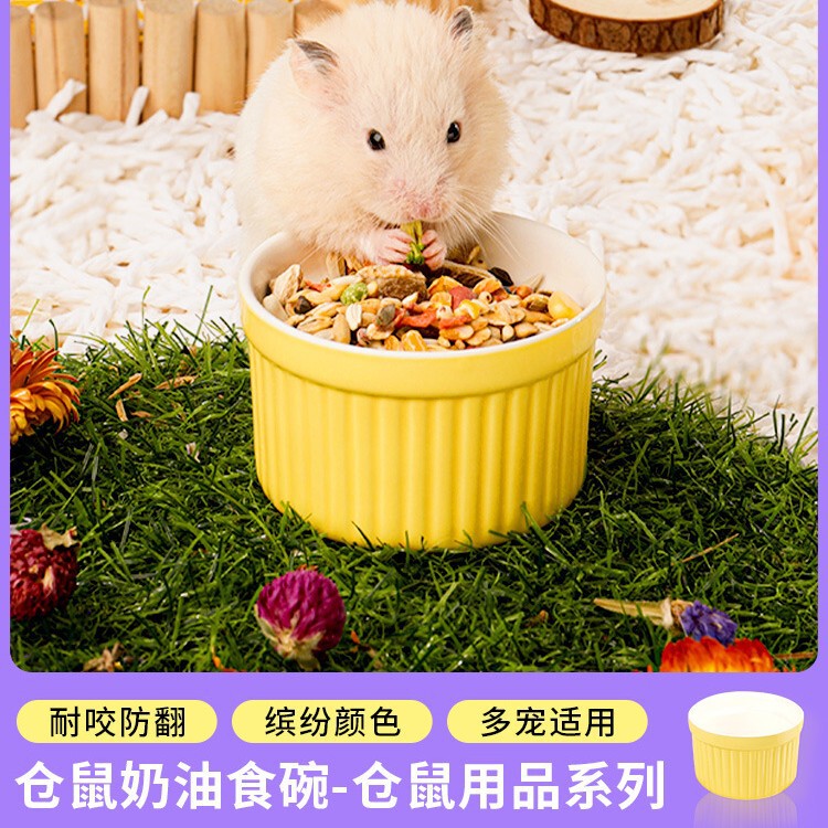 Ceramic Bowl for Hamsters, Anti-Tip Bowl for Gerbils and Hedgehogs, Golden Hamster Bowl, Food Bowl