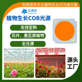 贴片式LED;COB LED;RGB彩色灯珠