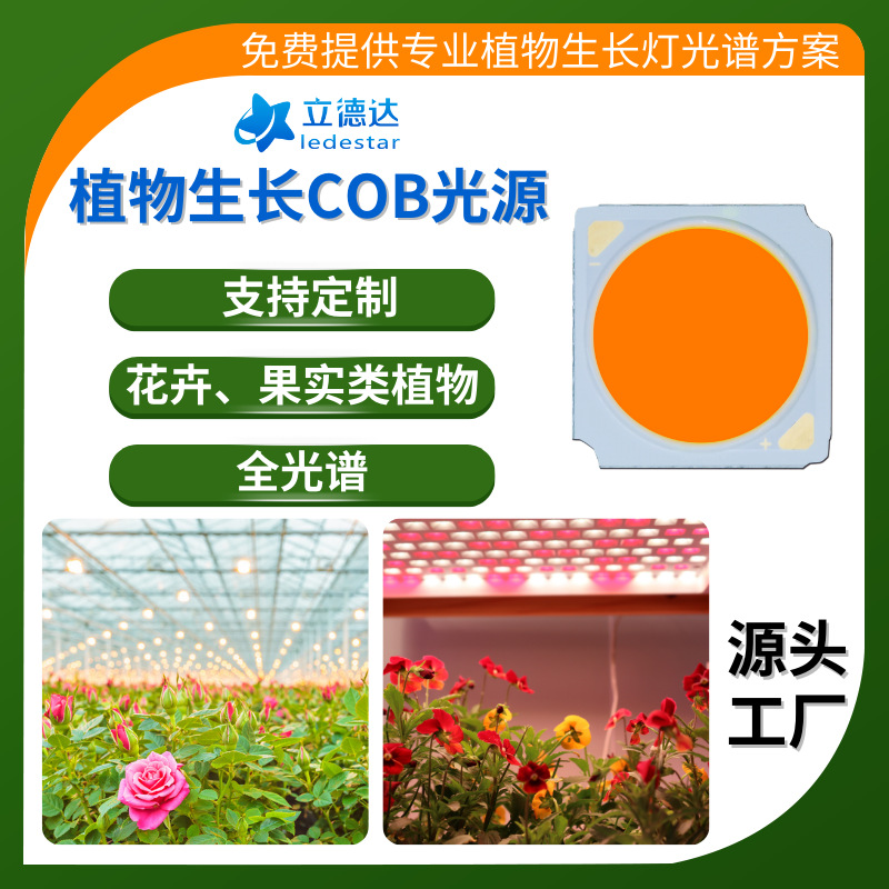 1919植物生长灯COB光源植物集成led灯珠定制全光谱大功率cob灯板